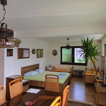 Peaceful Vacation Villa & Garden ซาราเยโว ภายนอก รูปภาพ